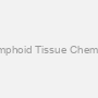 Human Secondary Lymphoid Tissue Chemokine (SLC) ELISA Kit